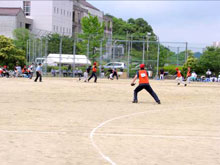 第42回市民体育祭松江市ソフトボール大会開催風景写真７